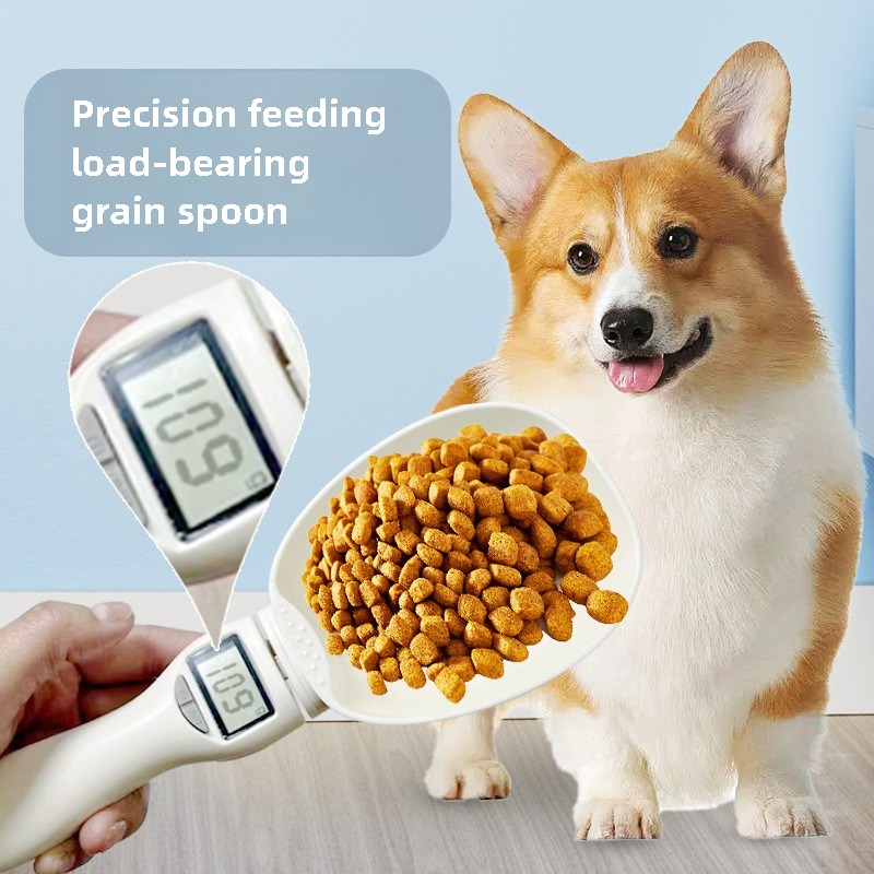 애완동물 사료 디지털 계량 스푼 스케일 - 800g/0 - Portion Scale Digital 리뷰 및 가격