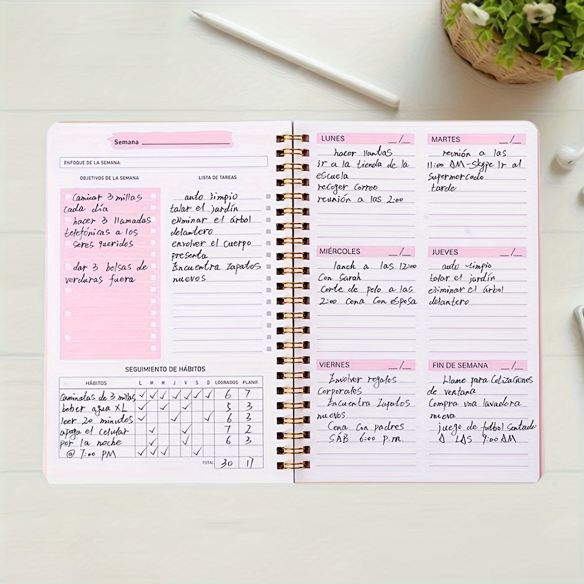 52주 영어 주간 플래너 효율성 매뉴얼 자체 인쇄 카드 - Meal Prep Planner 리뷰 및 가격