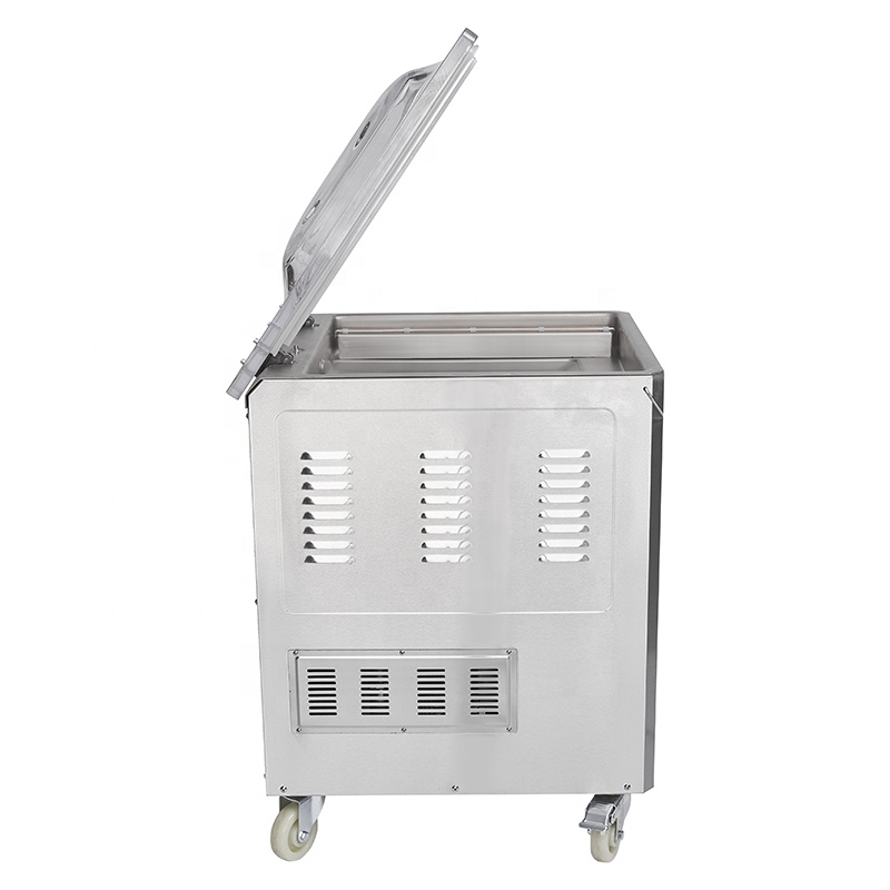 푸베이 DZ-500 2Evacuum 실러/단일 챔버 진 - Meal Prep Vacuum Seal 리뷰 및 가격